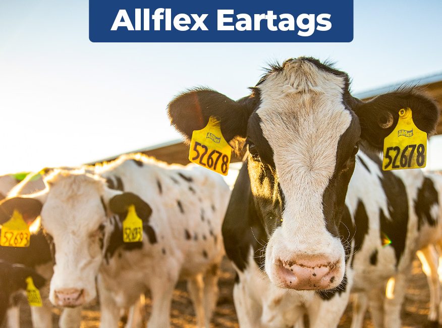 Allflex Airtags