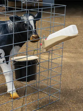 Calf Bottle - 2