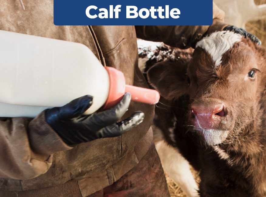 Calf Bottle