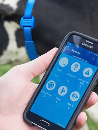 Moo Monitor - 2