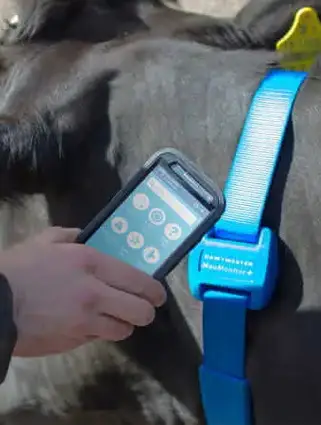 Moo Monitor - 4
