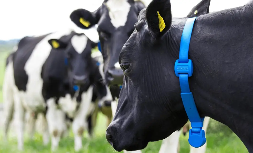 Farm Management
