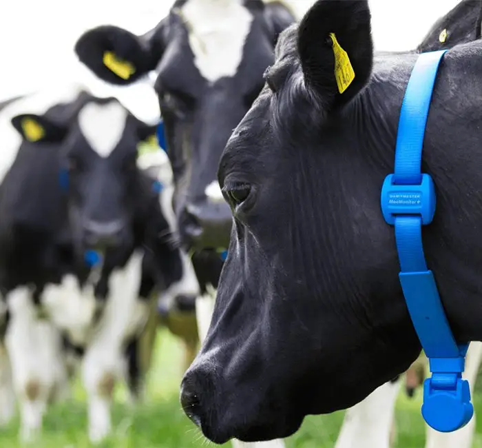 Farm Management