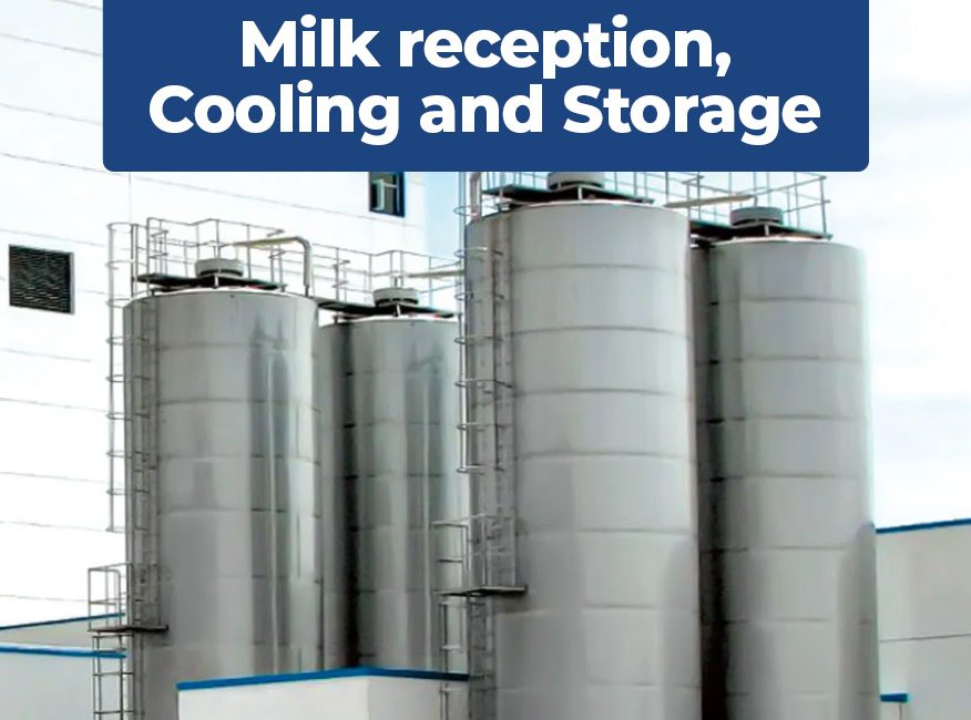 Milk Processing (1)